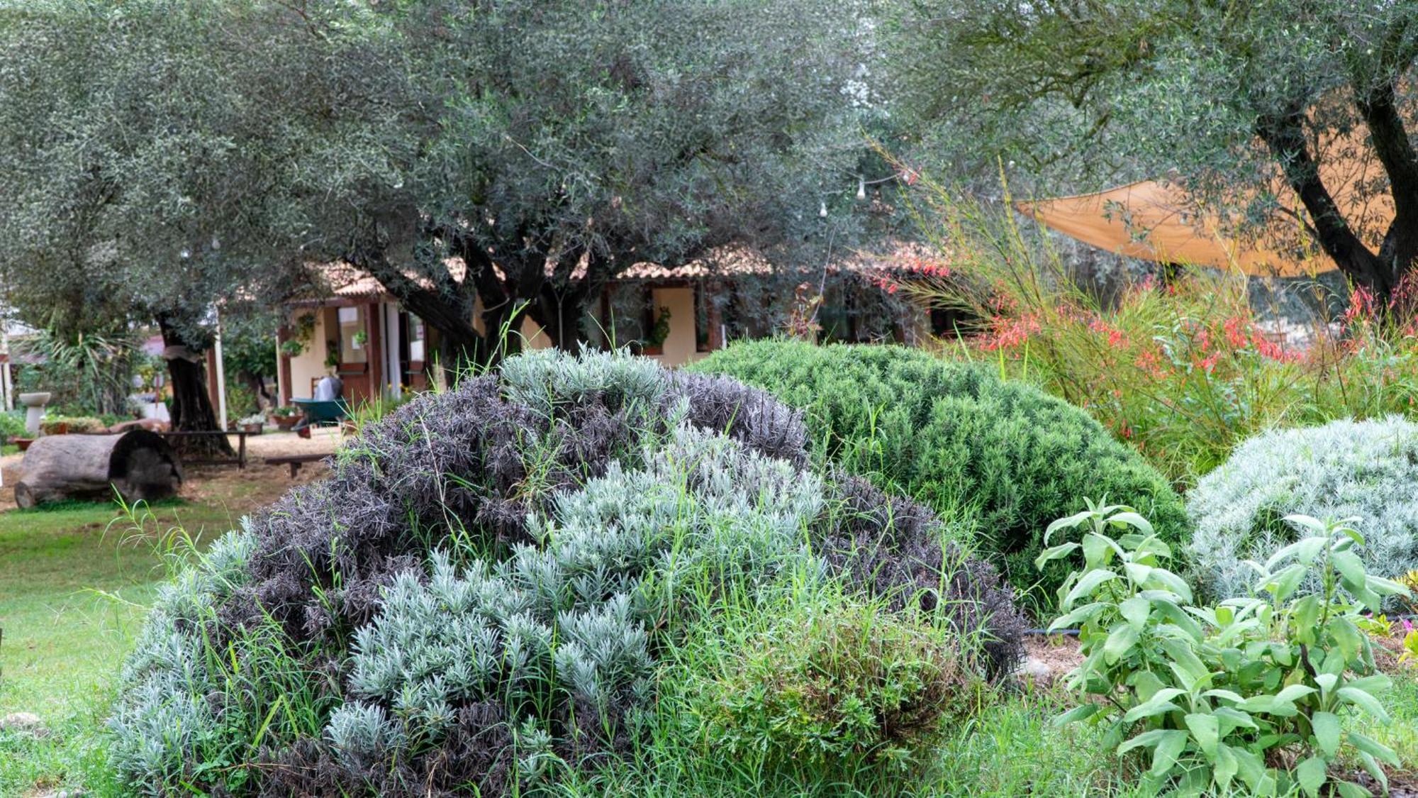 Solèminis Su Leunaxiu מראה חיצוני תמונה
