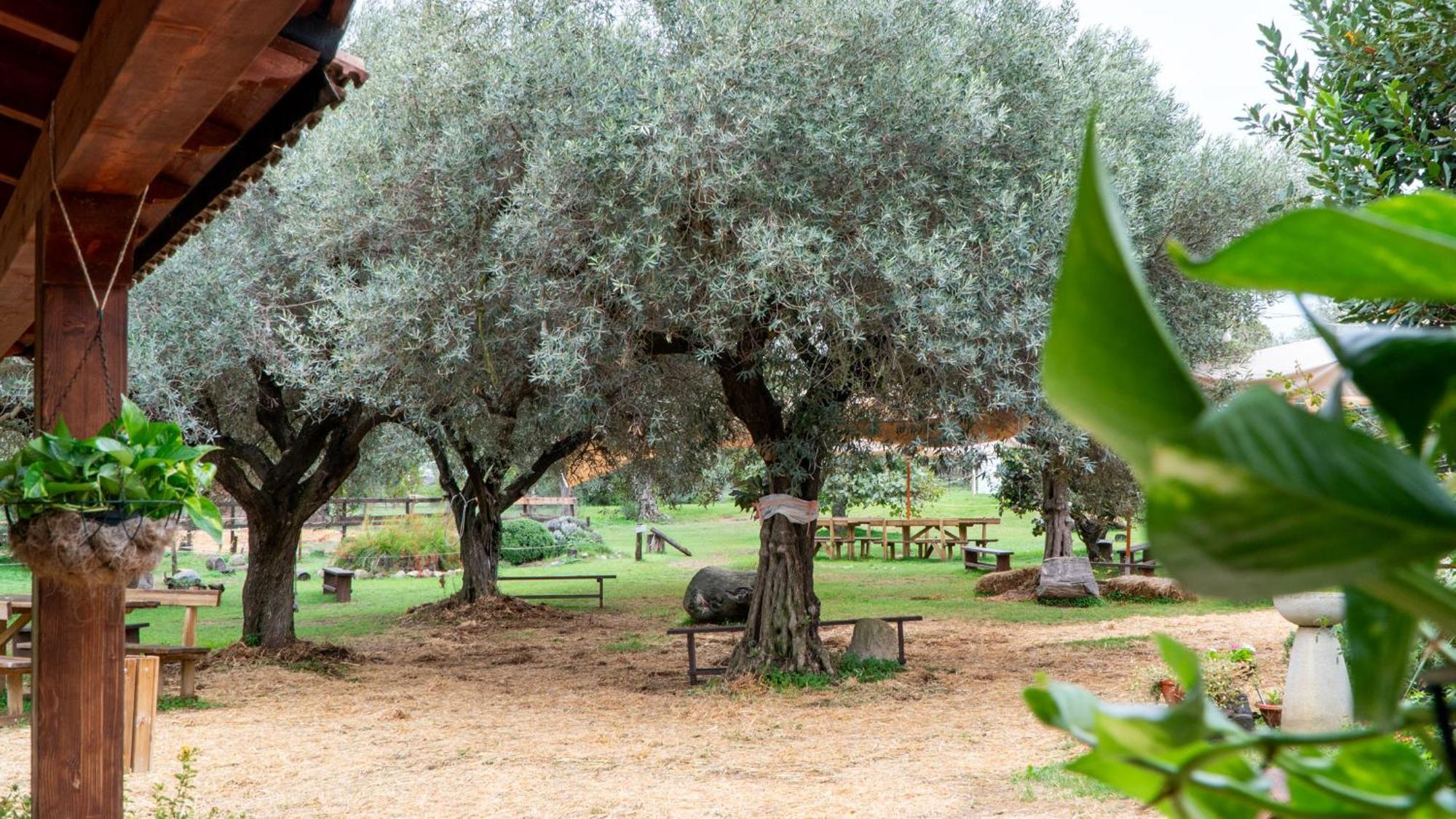 Solèminis Su Leunaxiu מראה חיצוני תמונה