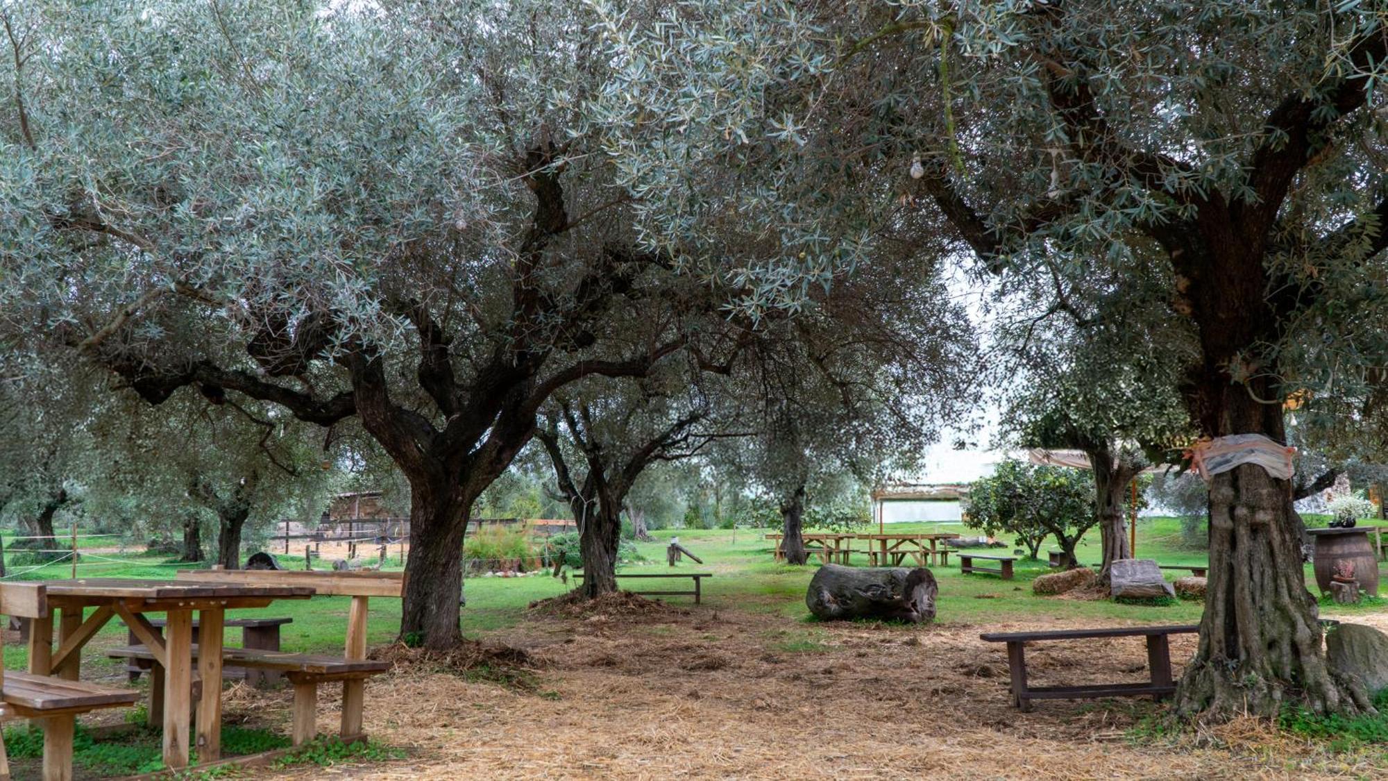 Solèminis Su Leunaxiu מראה חיצוני תמונה