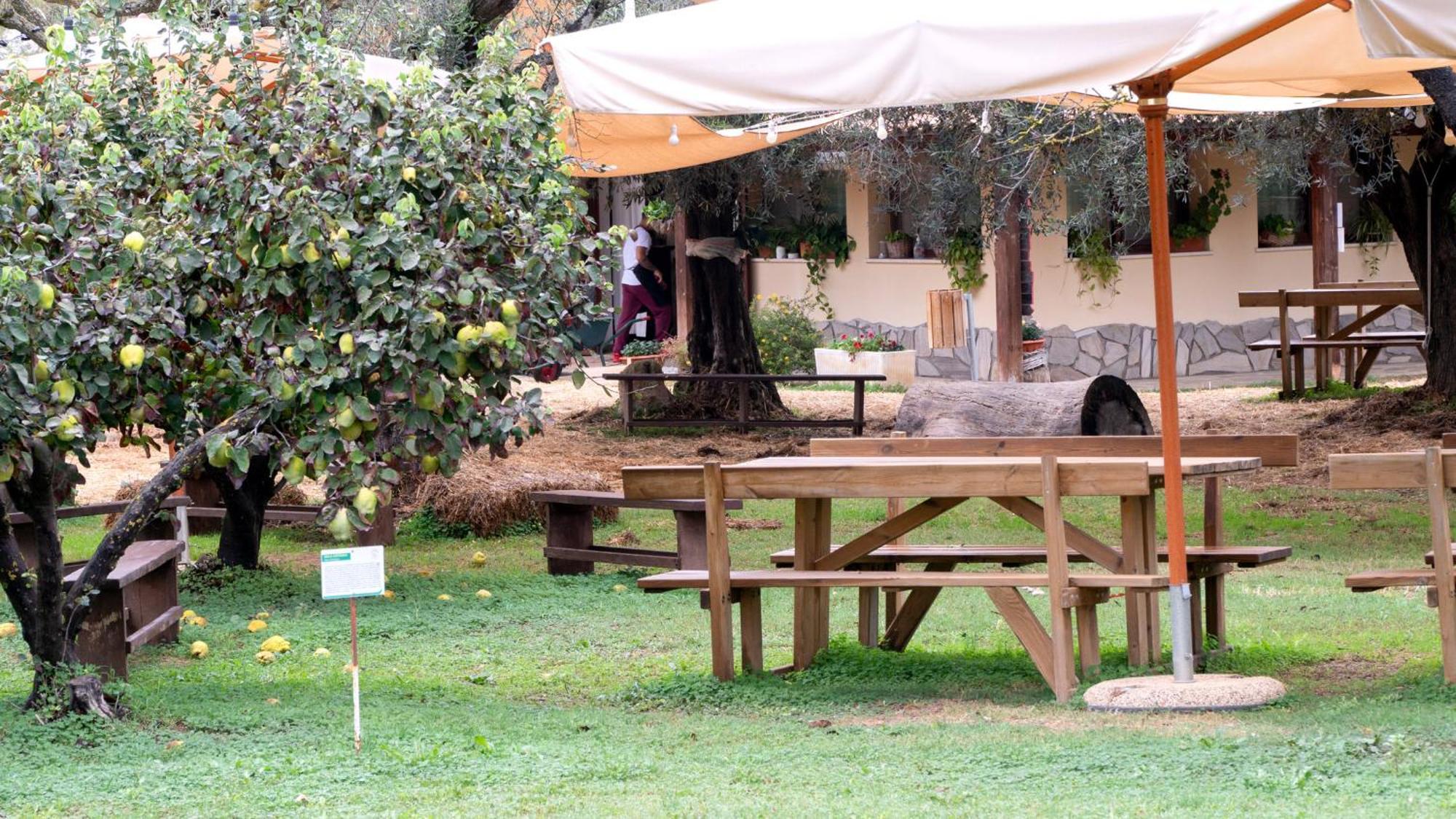 Solèminis Su Leunaxiu מראה חיצוני תמונה